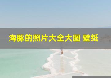 海豚的照片大全大图 壁纸